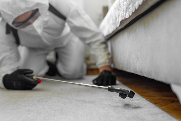 Professional Cockroach Control technician working in Weston, NJ