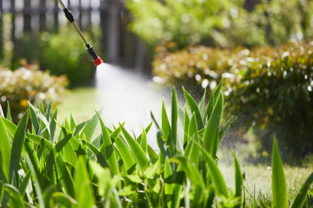 24/7 Emergency Cockroach Control experts in Weston, NJ
