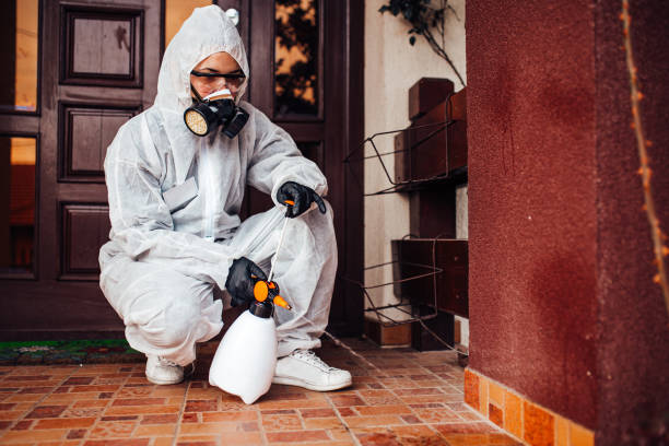 Reliable Cockroach Control contractor in Weston, NJ by Nex Pest Control