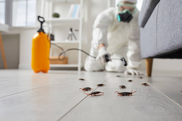 Affordable Cockroach Control solutions in Weston, NJ